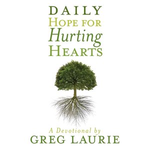 cover image of Daily Hope for Hurting Hearts